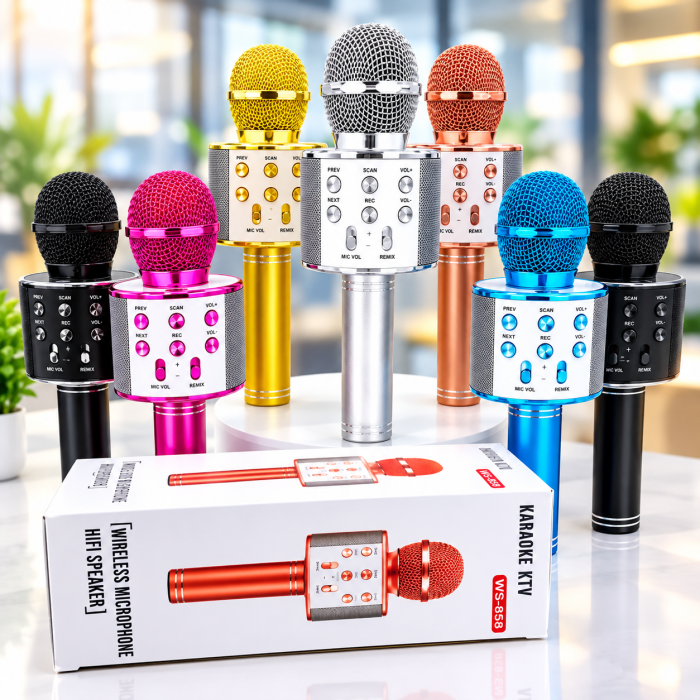 Wireless Microphone Hifi Speaker